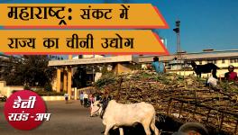 Maharashtra's Sugar Industry