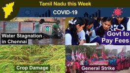 TN This Week: Cyclone Nivar Causes Severe Crop Damages, North Chennai Residents Allege Neglect, Over 50,000 Detained During Nov 26 Strike