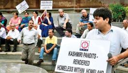Jammu: ‘No Jobs for 45, How Will They Rehabilitate Six Lakh?’ Ask Protesting KPs 