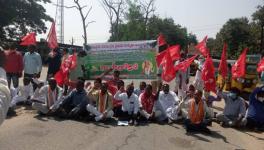 Telangana: Cotton and Paddy Farmers Protest over MSP, Procurement Process