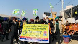 Dairy Farming Will Be Biggest Casualty of Farm Laws