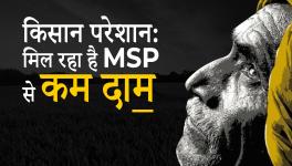 Paddy Prices Fall Below MSP 