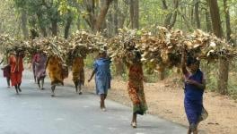 Adivasis Will Be Worst Victims of New Farm Laws: Adivasi Adhikar Rashtriya Manch