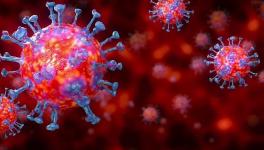 India has 19 Variants of Novel Coronavirus, N440K More Prevalent