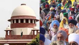 Farmer Protests: Consider Holding Back 3 Agri Laws to Enable Talks, SC Urges Centre