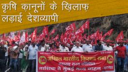 Nashik march reaches Mumbai