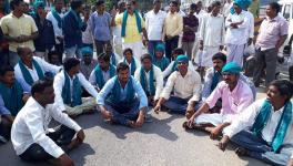 telangana turmeric farmers' protest