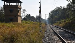 railway track in Rajaji Tiger Reserve