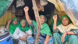 Women Aren’t Just Providing ‘Bhagidari ‘ but ‘Aguvaai ‘ to Farmers’ Movement , too: Harinder Kaur Bindu