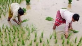 Union Budget 2021-22 Shows a Drop in Expenditure on Agricultural Schemes