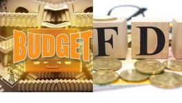 Budget FDI