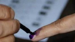 Andhra Panchayat Polls: YSRCP-Backed Candidates Win 80% Gram Panchayats