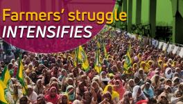 farmers struggle intensifies