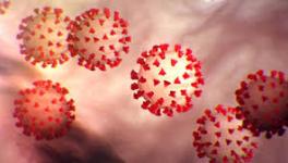 COVID-19: New Study Suggests Novel Coronavirus Was Circulating Months Before Detection of First Cases