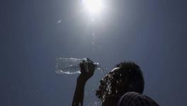 Deadly Heat Waves Will Become More Common in South Asia, say Scientists