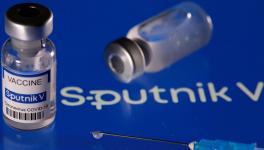 COVID-19: India to Produce 850 Million Sputnik V Doses Annually, Says RDIF
