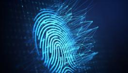 Each City Has its Unique Fingerprint of Microorganisms: Global Study