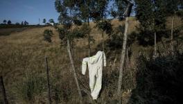 28 June 2013: Phumzile Sokanyile's washed overalls dry in the sun after his death at his home in Mdumazulu in Ngqeleni, Eastern Cape.