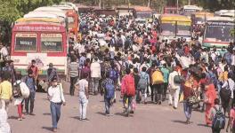 Over 8 Lakh Migrant Workers Left Delhi by Buses in First 4 Weeks of Lockdown–II: Report