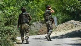 J&K: 3 Militants Killed as Security Operation Continues amid Fresh Covid Wave