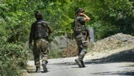 J&K: 3 Militants Killed as Security Operation Continues amid Fresh Covid Wave