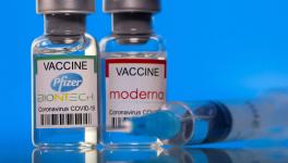 After Punjab, Delhi Govt Says Pfizer, Moderna Declined to Sell COVID Vaccines to State