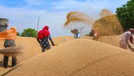 Bihar Wheat Proc