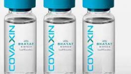 Brazil Suspends Bharat Biotech's Covaxin Order over Graft Allegations