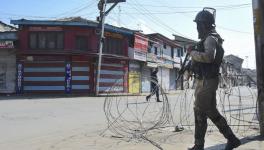 J&K Police Say Captured Militant Killed in Srinagar Encounter