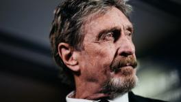 John Mcafee