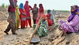 Gujarat’s BJP Govt Praises MGNREGA; Calls it ‘Lifesaver’ for Migrant Labour During Pandemic
