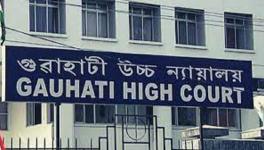 Citizenship should ordinarily be decided on merit rather than by default: Gauhati HC