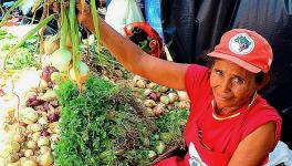 Food Sovereignty