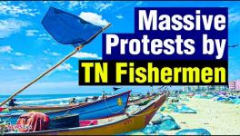 'Marine Fisheries Bill To Eliminate Traditional Fishermen'