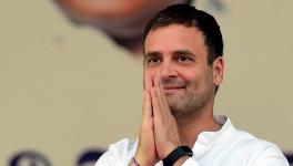 Twitter Unlocks Accounts of Congress Party, Rahul Gandhi