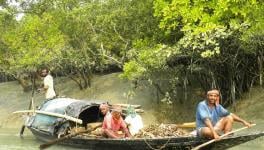 Residents of Sundarbans Demand Help from the State Government