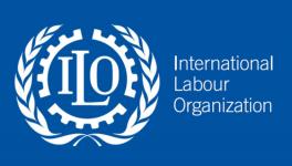 Only Half of World's Workers Hold Jobs Corresponding to Their Education: ILO Report