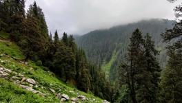 Need for More Knowledge to Conserve Himalayan Ecosystem