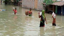 Bihar Floods: Villages Marooned, Several Displaced in East Champaran, Bhagalpur in Past 48 Hours