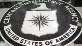 CIA Officer Reports Havana Syndrome Symptoms During India Trip: US Media