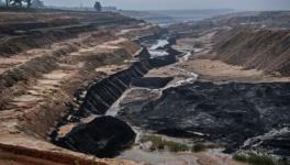Hasdeo Aranya Mining: Biodiversity Study Points out Eco-sensitivity, Advises Against Opening up of 14 Coal Clocks