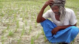 Andhra Pradesh: Farmers Threaten Suicide Over Rs 200Cr Pending Dues from Govt