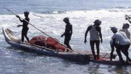 Tamil Nadu Fishermen Demand end to Dispute With Sri Lanka Navy