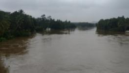 Heavy Rains Lash South Tamil Nadu