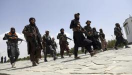 Taliban Back in American Swing Chair 
