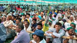 Farmers Protest: 'Kisan Mahapanchayat' to be Held in Lucknow on November 26