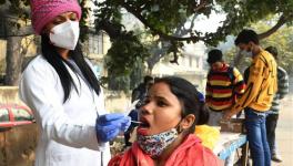 Delhi Reports Maximum Omicron Cases, Country's Tally at 961 After Highest Single-Day Rise