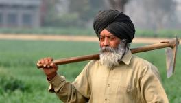 Farmer from the village of Ludhiana in Punjab India. 