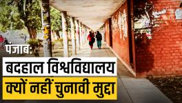 Punjab: Why Don't Political Parties Talk About Poor State of Universities