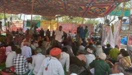 Rajasthan Tribal Communities Wait for Pattas Under FRA Indefinitely